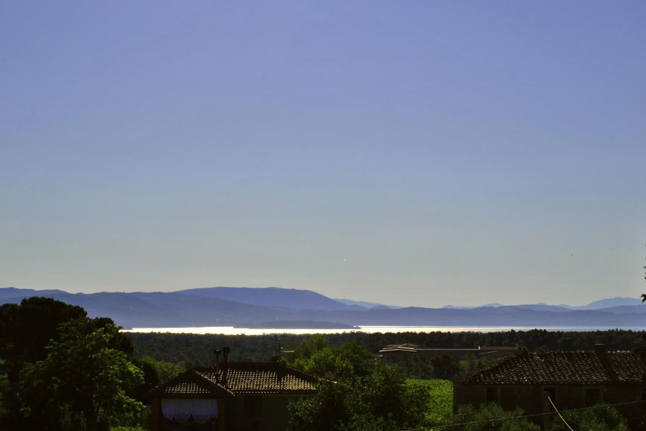 Villa La Valiana - Full Estate In Montepulciano - Heated Pool Valiano Exteriör bild