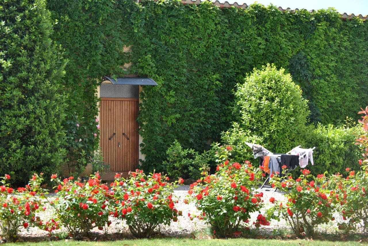 Villa La Valiana - Full Estate In Montepulciano - Heated Pool Valiano Exteriör bild